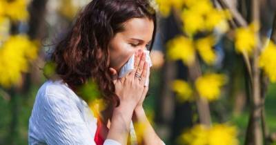 Сезон аллергии: как его пережить, и что советуют эксперты - focus.ua