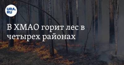 В ХМАО горит лес в четырех районах - ura.news - Югра - Советск