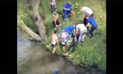 42-летний спортсмен погиб во время соревнований по триатлону - gubdaily.ru - Московская обл.