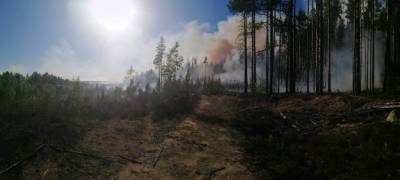 В выходные в лесах Карелии произошло пять лесных пожаров - stolicaonego.ru - республика Карелия