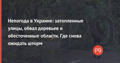 Непогода в Украине: затопленные улицы, обвал деревьев и обесточенные области. Где снова ожидать шторм - thepage.ua - Кировоградская обл. - Запорожье - Черновицкая обл.