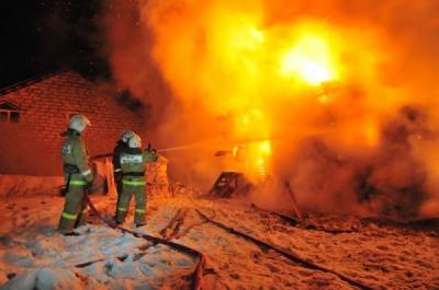 На пожаре в Клепиковском районе погиб пожилой мужчина - 7info.ru - Рязанская обл. - район Клепиковский