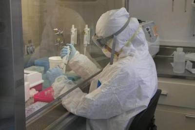 Вирусолог из Уханя опровергла версию об утечке коронавируса из лаборатории - versia.ru - New York - Ухань