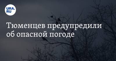 Тюменцев предупредили об опасной погоде - ura.news - Тюменская обл.