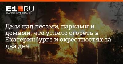 Дым над лесами, парками и домами: что успело сгореть в Екатеринбурге и окрестностях за два дня - e1.ru - Екатеринбург - Свердловская обл.