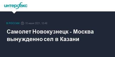Самолет Новокузнецк - Москва вынужденно сел в Казани - interfax.ru - Москва - Казань