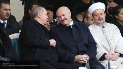 Реджеп Тайип Эрдоган - Александр Лукашенко - Игорь Тышкевич - Политолог рассказал, как Эрдоган подсказал Лукашенко хитрый план мести ЕС - newinform.com - Турция - Литва - Минск