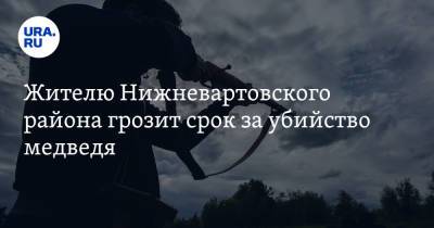 Жителю Нижневартовского района грозит срок за убийство медведя - ura.news - Югра - район Нижневартовский