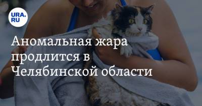 Аномальная жара продлится в Челябинской области. Скрин - ura.news - Челябинская обл.