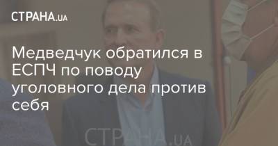 Виктор Медведчук - Ренат Кузьмин - Медведчук обратился в ЕСПЧ по поводу уголовного дела против себя - strana.ua