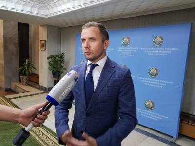 США не стали серьезным инвестором в экономику Узбекистана — эксперт - eadaily.com - Узбекистан - Киргизия - Афганистан