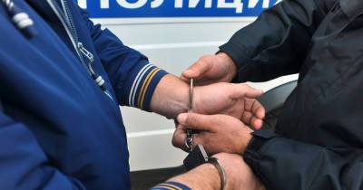 В Москве задержали лосиноостровского маньяка - moslenta.ru - Москва