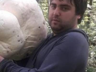 Мужчина нашел гриб-мутант под Харьковом: "такой размер увидел впервые" - politeka.net - Харьков