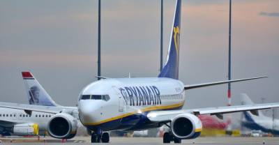 Майкл Олири - "Не мог поступить иначе": В Ryanair заявили о давлении Минска на пилота, посадившего самолёт с Протасевичем на борту - reendex.ru - Англия - Вильнюс - Минск