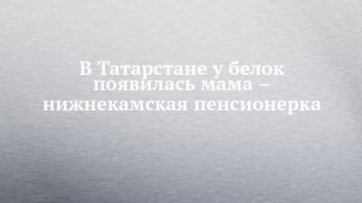 В Татарстане у белок появилась мама – нижнекамская пенсионерка - chelny-izvest.ru - респ. Татарстан - Нижнекамск