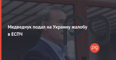 Виктор Медведчук - Ренат Кузьмин - Ирина Венедиктова - Тарас Козак - Медведчук подал на Украину жалобу в ЕСПЧ - thepage.ua - Киев