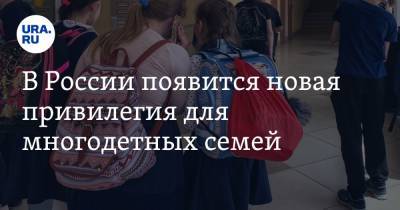 Алена Аршинова - В России появится новая привилегия для многодетных семей - ura.news