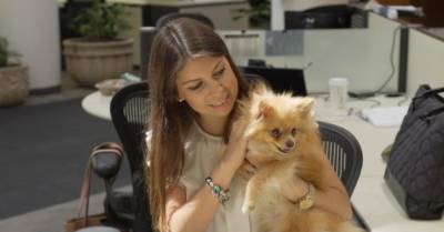 В Украине ищут компании, которые могут поделиться опытом создания pet-friendly офисов - delo.ua
