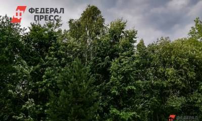На Средний Урал надвигается сильный шторм - fedpress.ru - Екатеринбург - Свердловская обл.
