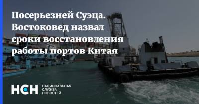 Николай Вавилов - Посерьезней Суэца. Востоковед назвал сроки восстановления работы портов Китая - nsn.fm - Китай - Китай - провинция Гуандун - Гуанчжоу - Торговля