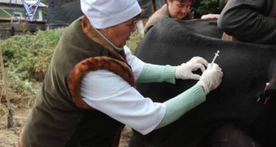 В Луганске отчитались о завершении вакцинации - cxid.info - Луганск