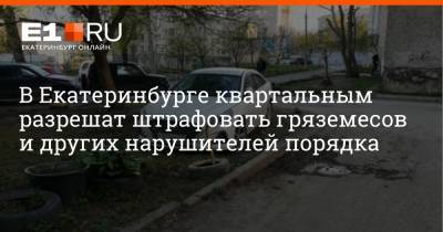 В Екатеринбурге квартальным разрешат штрафовать гряземесов и других нарушителей порядка - e1.ru - Екатеринбург - Свердловская обл.