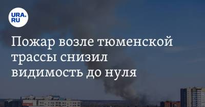 Пожар возле тюменской трассы снизил видимость до нуля. Фото, видео - ura.news - Тюмень