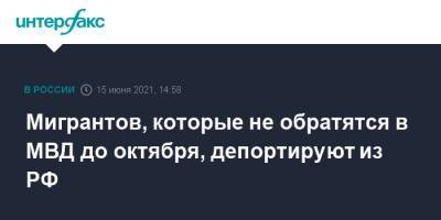 Владимир Путин - Мигрантов, которые не обратятся в МВД до октября, депортируют из РФ - interfax.ru - Москва