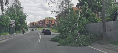 В Петрозаводске деревья обрушились на жилой дом и перегородили дорогу (ФОТО) - stolicaonego.ru - Петрозаводск - республика Карелия