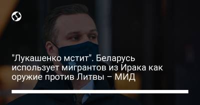 Александр Лукашенко - "Лукашенко мстит". Беларусь использует мигрантов из Ирака как оружие против Литвы – МИД - liga.net - Сирия - Ирак - Литва - Стамбул