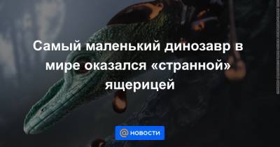 Самый маленький динозавр в мире оказался «странной» ящерицей - news.mail.ru - Техас