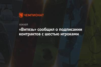 «Витязь» сообщил о подписании контрактов с шестью игроками - championat.com - Москва - Сочи - Московская обл. - Швеция - Финляндия - Канада - Гомель