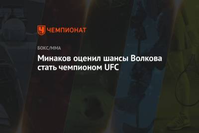 Александр Волков - Виталий Минаков - Минаков оценил шансы Волкова стать чемпионом UFC - championat.com