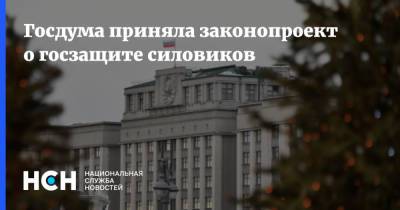 Госдума приняла законопроект о госзащите силовиков - nsn.fm
