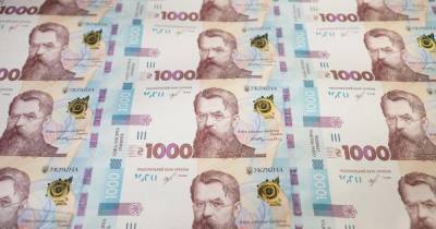 Минфин увеличил государственный долг более чем на 8 млрд грн - dsnews.ua