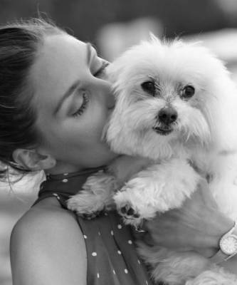 Ева Лонгория - Пет-терапия с собаками: как Оливия Палермо и Ева Лонгория справляются со стрессом - skuke.net