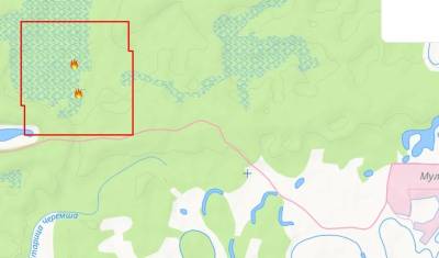 В районе Муллашей вновь горят леса. Люди собирают добровольцев - nashgorod.ru - Тюмень - Куба