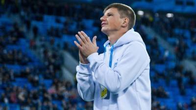 Андрей Аршавин - Аршавин сравнил шведского форварда Берга с деревом после матча Евро-2020 - newinform.com - Швеция - Испания