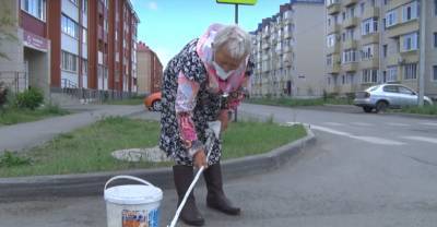 В Алтайском крае пенсионерка смастерила кисть из швабры и покрасила зебру на перекрёстке - reendex.ru - Алтайский край - Бийск