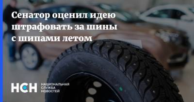 Александр Башкин - Сенатор оценил идею штрафовать за шины с шипами летом - nsn.fm