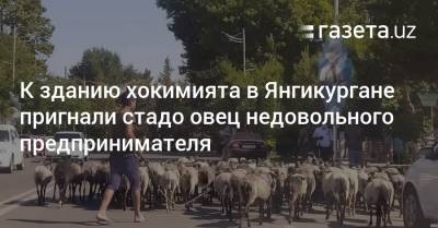 К зданию хокимията в Янгикургане пригнали стадо овец недовольного предпринимателя - gazeta.uz - Узбекистан - Наманганская обл.