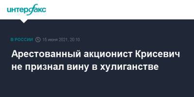 Алексей Мельников - Павел Крисевич - Арестованный акционист Крисевич не признал вину в хулиганстве - interfax.ru - Москва