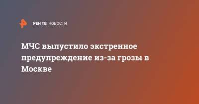 МЧС выпустило экстренное предупреждение из-за грозы в Москве - ren.tv - Москва
