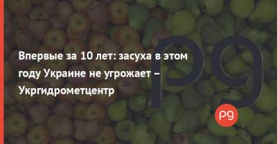 Впервые за 10 лет: засуха в этом году Украине не угрожает – Укргидрометцентр - thepage.ua