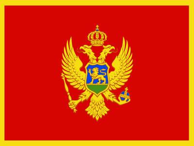 Татьяна Голикова - Черногория попросила Россию возобновить авиасообщение - rosbalt.ru - Черногория