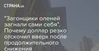 "Загонщики оленей загнали сами себя". Почему доллар резко отскочил вверх после продолжительного снижения - strana.ua - Украина