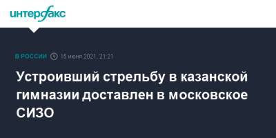 Алексей Мельников - Ильназ Галявиев - Устроивший стрельбу в казанской гимназии доставлен в московское СИЗО - interfax.ru - Москва - Казань