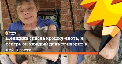 Женщина спасла крошку-енота, и теперь он каждый день приходит к ней в гости - ridus.ru