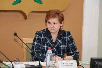 Елена Сорокина - Елена Сорокина прокомментировала ситуацию с ливневой канализацией в Рязани - 7info.ru - Рязань