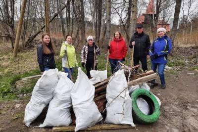 Летняя уборка в Заполярье проходит в штатном режиме - murmansk.mk.ru - Мурманская обл. - Кировск - Александровск